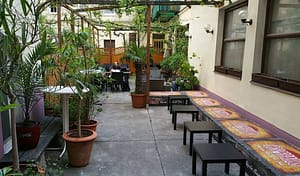 Weberknecht Wien Garten.jpg