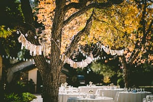 Gartenparty planen: Ideen, Deko & Tipps für ein unvergessliches Sommerfest