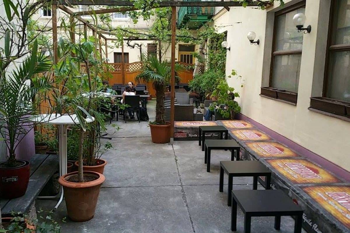 Weberknecht Wien Garten.jpg